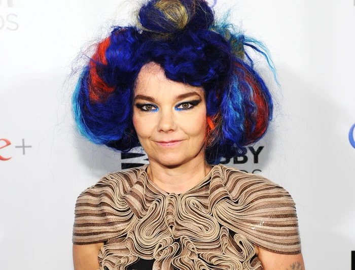 bjork1370824829 jpeg