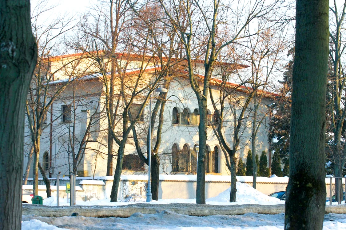 Vila de 5 milioane de euro din Cartierul Primăverii era ieri pustie