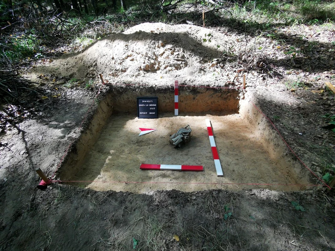 Un depozit spectaculos de piese din bronz, descoperit de arheologi (© Complexul Muzeal Bistrița-Năsăud)