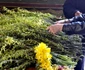 Tradiţii de Florii Ce reprezintă Duminica Floriilor şi ce nume se serbează jpeg
