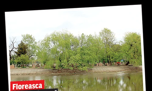 lacul floreasca santier distractie jpeg