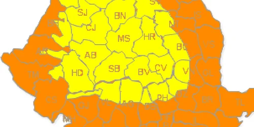 Cod portocaliu de caniculă în zona de câmpie
