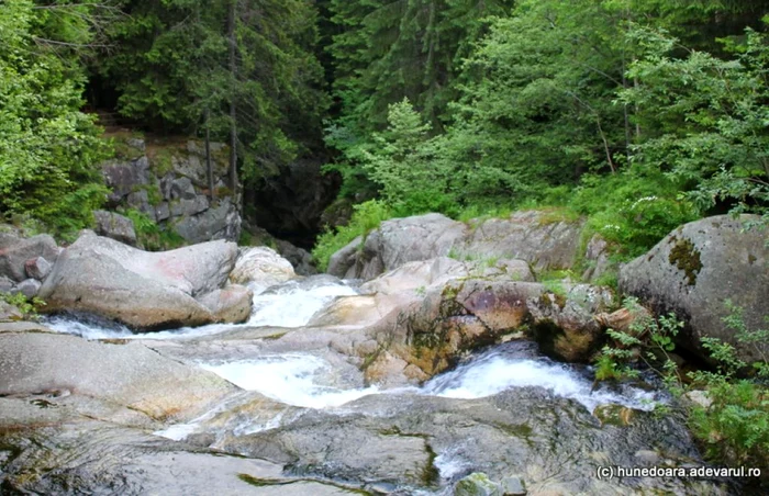 cascada lolaia