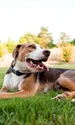caine curte istock jpg