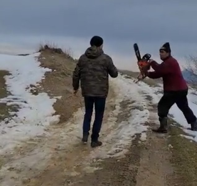 Pădurari amenințați că vor fi tăiați cu drujba și toporul. Hoții de lemne au fost condamnați în timp record VIDEO