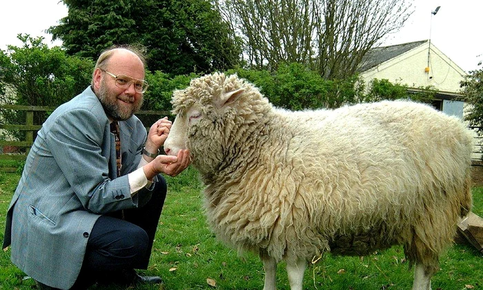 dollywilmut jpg