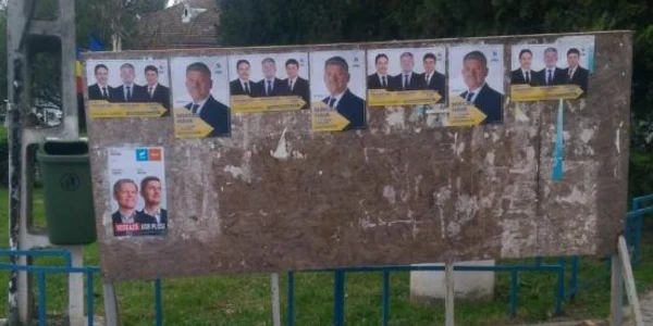 afise electorale
