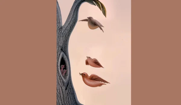 imagine 1 jpg