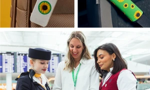 sun flower airport jpg