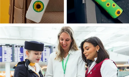 sun flower airport jpg