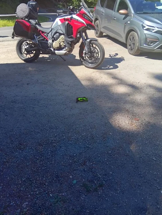 un motociclist din italia a fost ucis de un urs pe transfagarasan animalul ucigas a tras victima in padure 986183 jpg