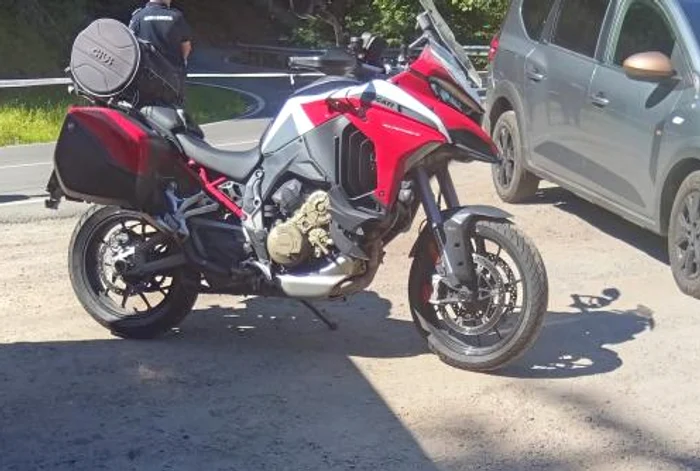 BREAKING Un motociclist a fost omorât de urs pe Transfăgărășan