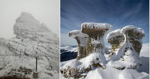 Cele două monumente au fost câștigate în instanță