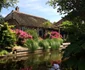 Giethoorn - satul olandez cu canale supranumit Veneţia Nordului Foto Sînziana Ionescu