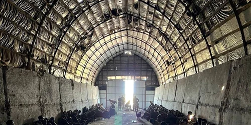 profimedia 0898974418 jpg