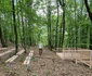 Amenajare pădure parc în Râmnicu Vâlcea Foto Primăria Râmnicu Vâlcea jpg