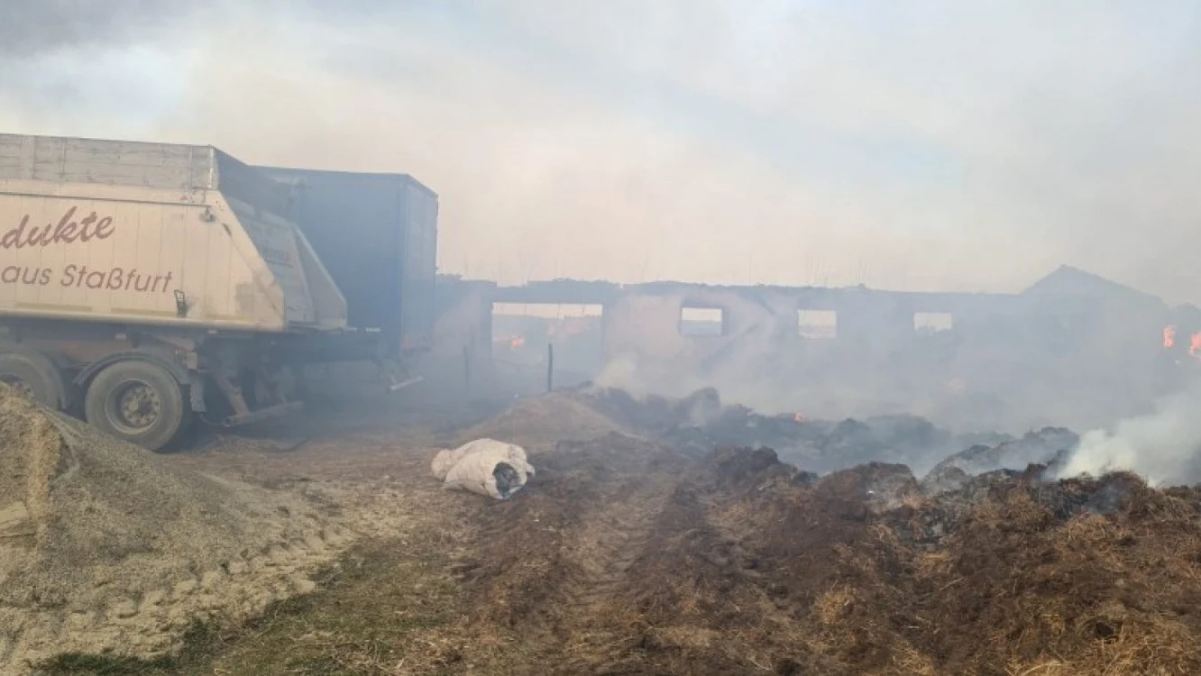 Foto ISU Botoşani