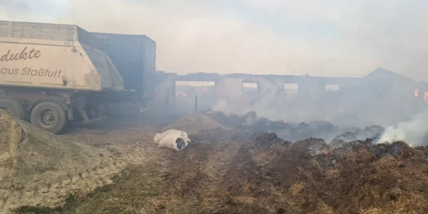 incendiu mileanca botosani ferma fotto ISU Botosani