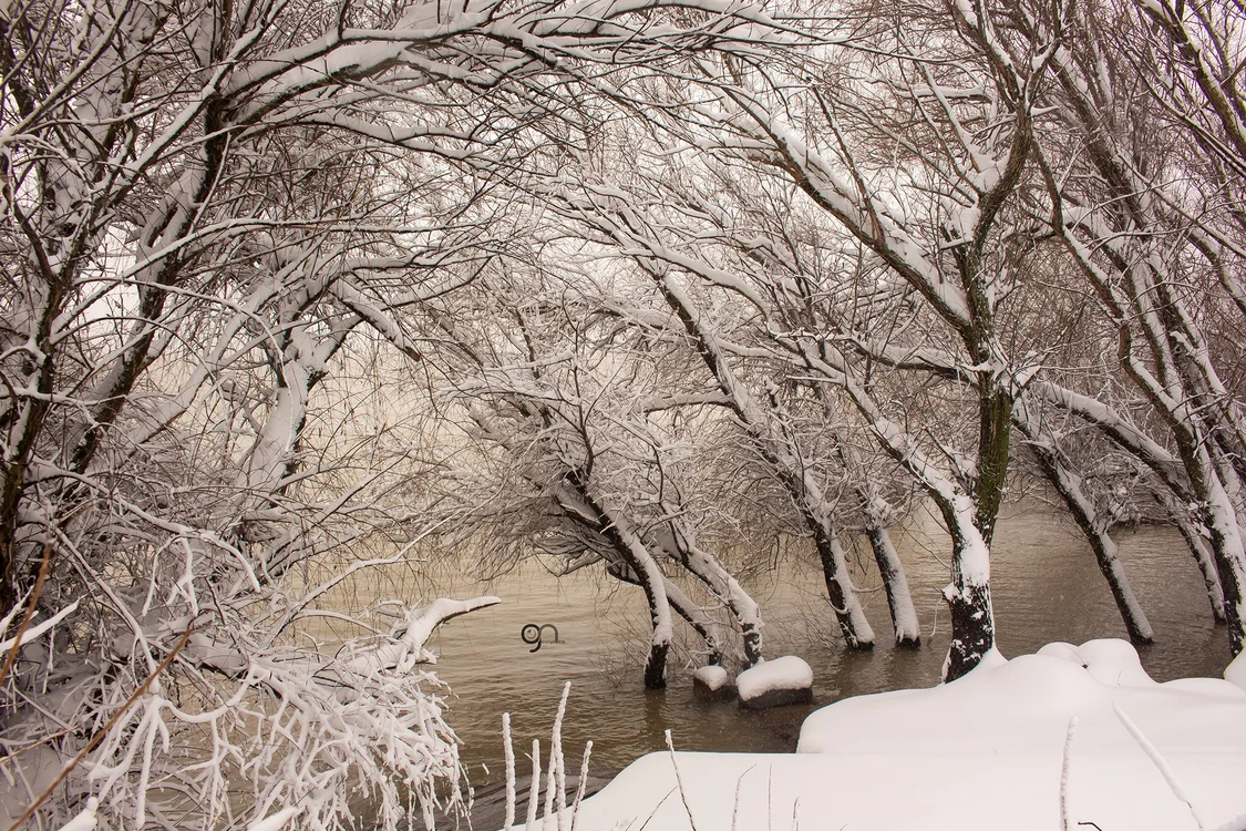 Malul Dunării din Galați, în straie de iarnă FOTO: George Nica