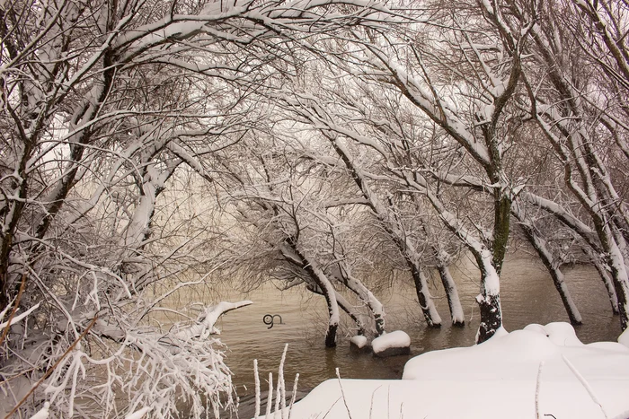 Malul Dunării din Galați, în straie de iarnă FOTO: George Nica