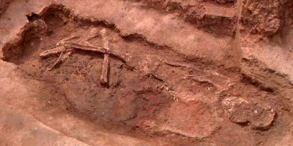 necropola silvas