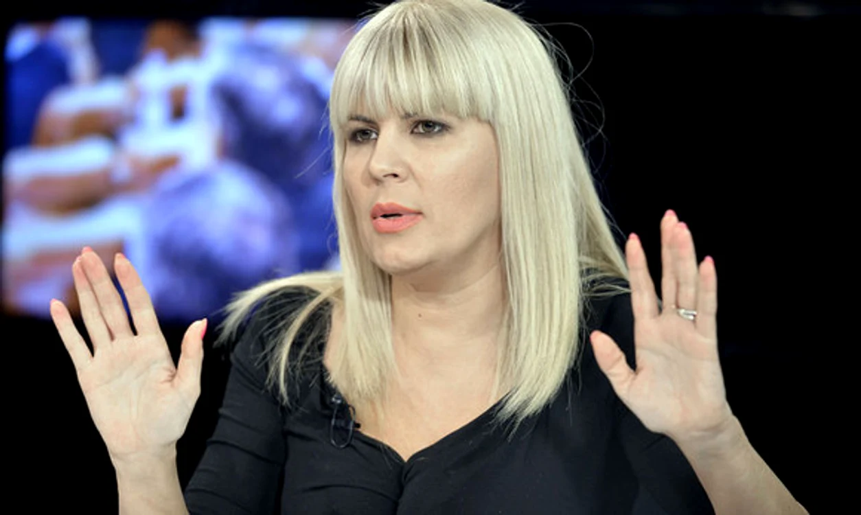 
    Elena Udrea s-a întors în România  