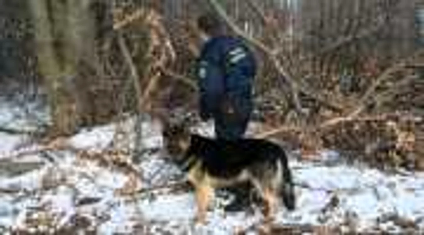 Bărbaţii sunt acum cercetaţi pentru contrabandă şi trecerea ilegală a frontierei de stat