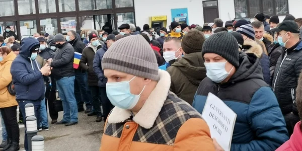 proteste alro