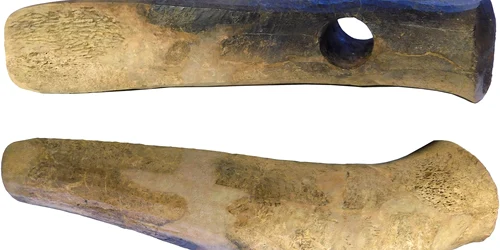 331327913 728488038688706 4164195910323459895 n jpg