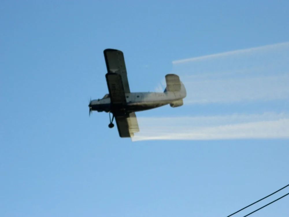 Tratamentele se împrăştie din avion Foto:Arhivă Adevărul