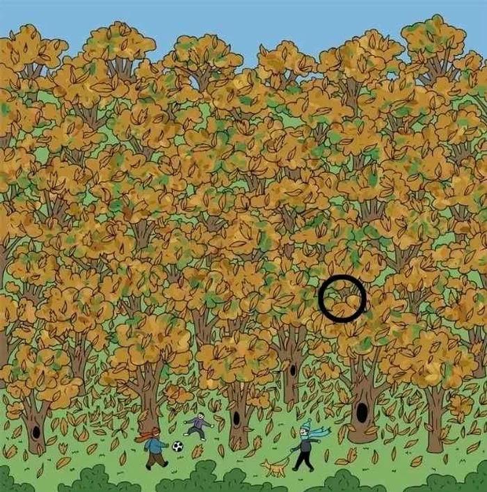 Rezolvarea provocării