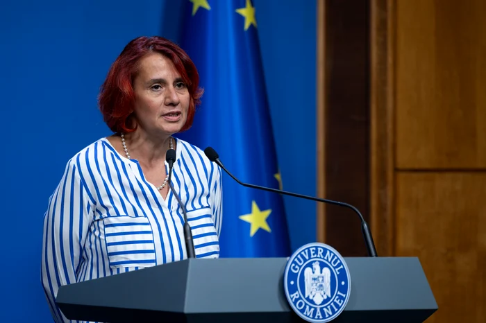 Ioana Dogioiu, purtătorul de cuvânt al Guvernului FOTO: Gov.ro