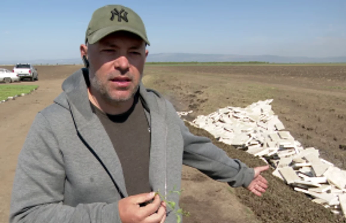Dan Năsatsa spune că pagubele sunt uriaşe