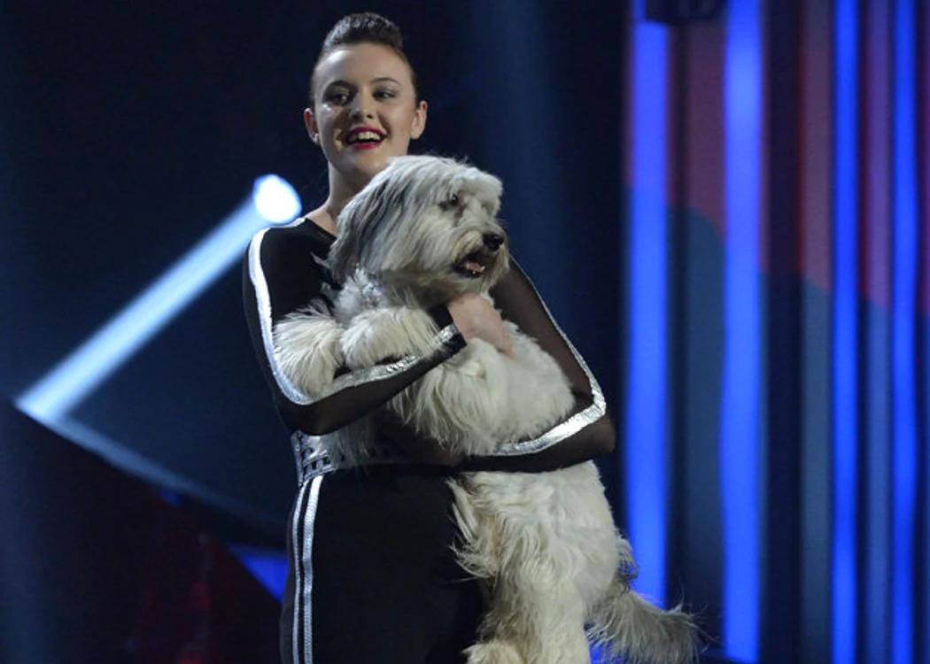 
    De toat[ jena! El e cel mai talentat britanic  