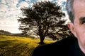 banner nicolae ceaușescu png