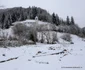 iarna in tinutul padurenilor foto daniel guta adevarul