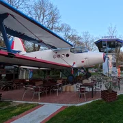 Avionul din Buziaș  Foto Daniel Guță  ADEVĂRUL (10) jpg