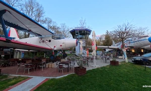 Avionul din Buziaș Foto Daniel Guță ADEVĂRUL (10) jpg