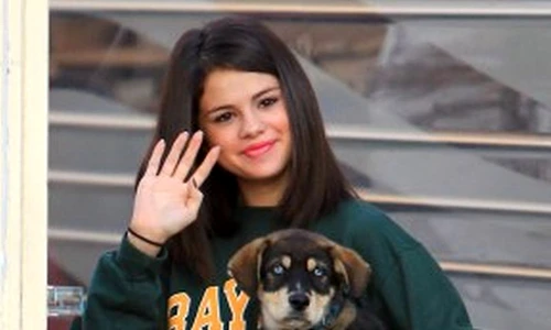 1 49770 original jpg jpeg