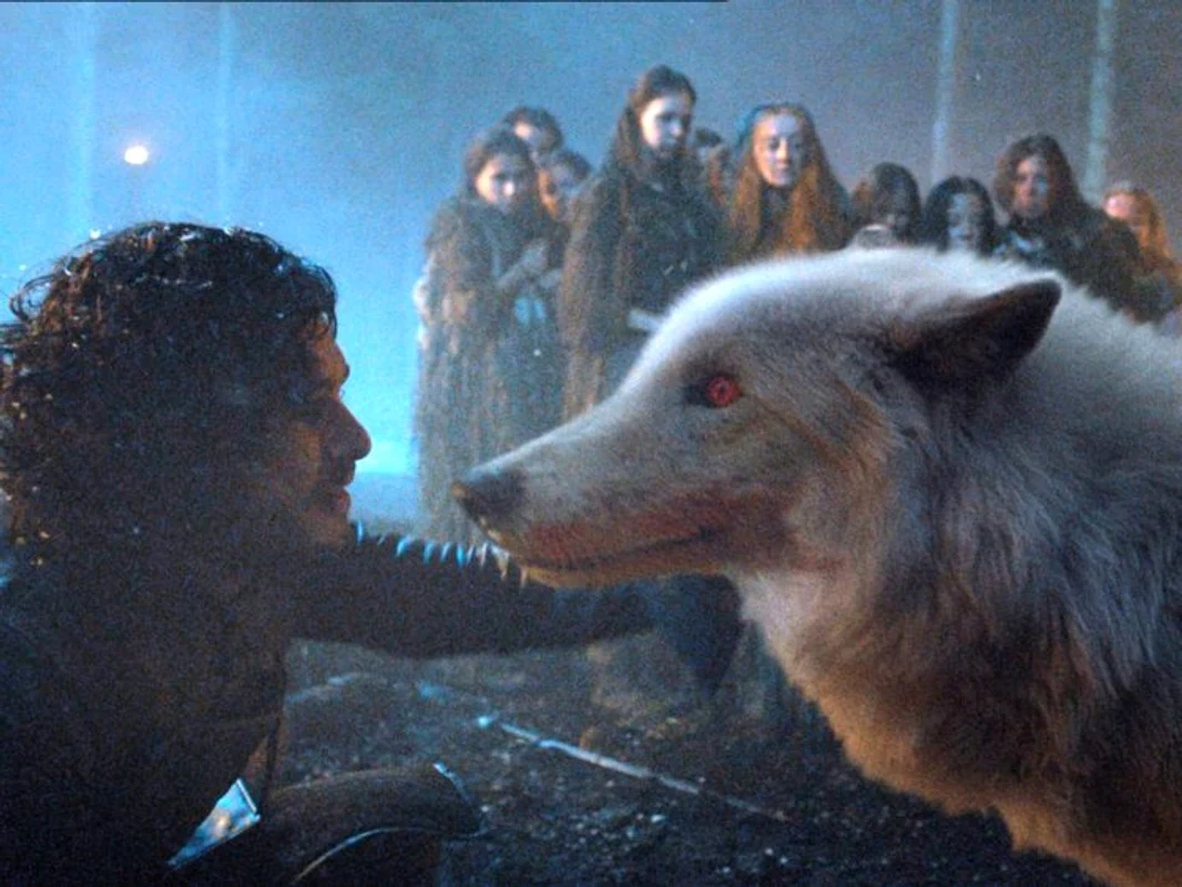 2 john snow ghost jpg jpeg