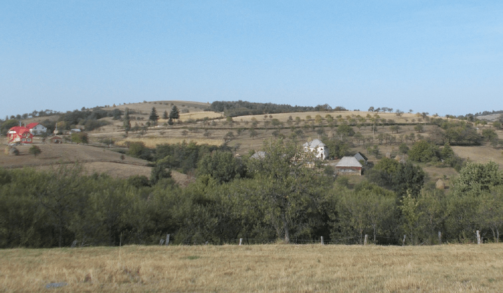 Ce afaceri din zonele montane vor fi finanțate din bani publici. Ținta: repopularea satelor de munte