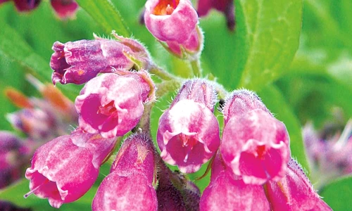 1 71924 original jpg jpeg