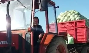 Tanti Mița cară cu tractorul legumele agricultorilor din Lungulețu jpeg