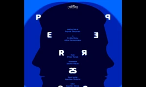 Misterul regelui Despre scris, Persona, #Maitec – Lemn Aur Lumină, Anii 80 jpeg