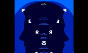 Misterul regelui  Despre scris, Persona, #Maitec – Lemn Aur Lumină, Anii 80 jpeg
