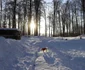 sarmizegetusa regia foto adevarul daniel guta