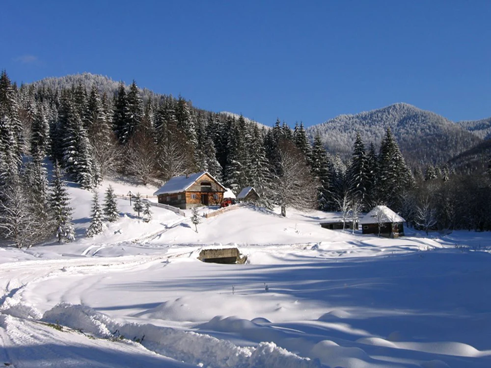 Maramureș.