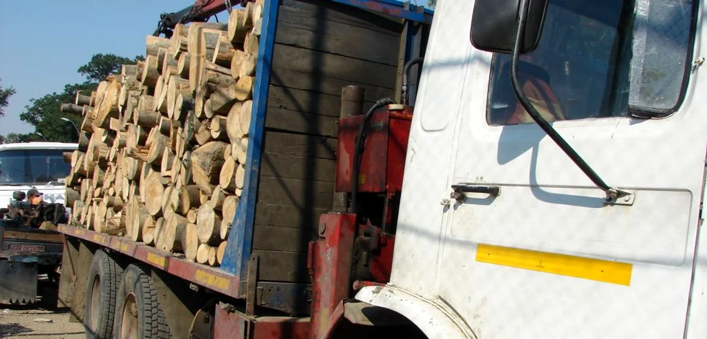 Poliţia a desc operit nereguli şi la transporturile de material lemnos FOTO Adevărul