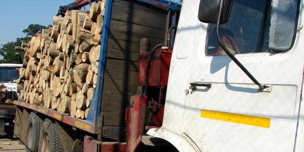 Autovehiculele care transportau material lemnos au fost verificate