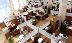 angajati birou separatoare activitate itisti